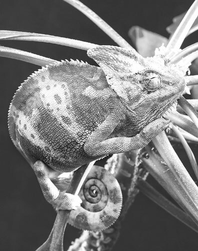 Техники манипулирования: приемы спецслужб - img_57