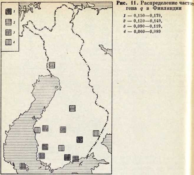 Этногенез финно-угорских народов по данным антропологии - _9.jpg