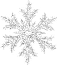 Принц льда и крови - i_026.jpg