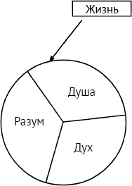 Опыт дурака - img_17