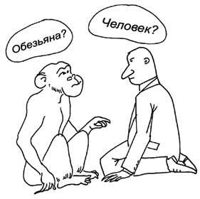 Позитивная психология для жизни - img_8