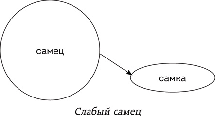 Жжизнь без трусов 2.0 - i_003.jpg