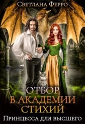 Отбор в академии стихий. Принцесса для высшего (СИ) - автор Ферро Светлана 