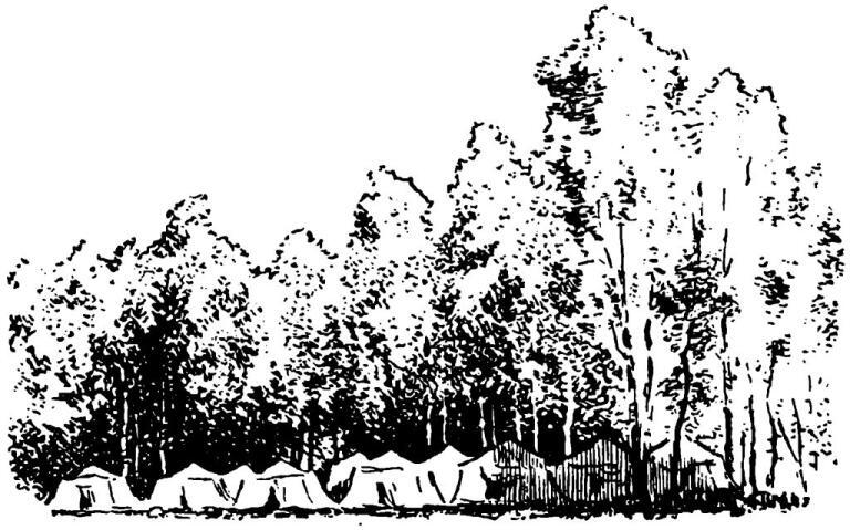 Гром и Молния - i_030.jpg