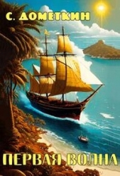 Первая волна (СИ) - автор Дометкин С. К. 