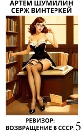 Ревизор: возвращение в СССР 5 - автор Винтеркей Серж 