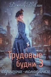 Трудовые будни барышни-попаданки 3 (СИ) - автор Дэвлин Джейд 