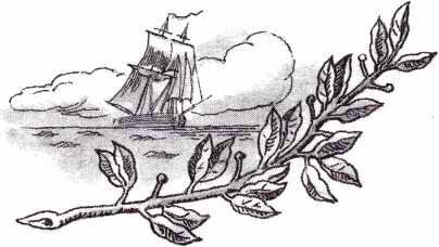 Водители фрегатов. О великих мореплавателях XVIII — начала XIX века - i_003.jpg