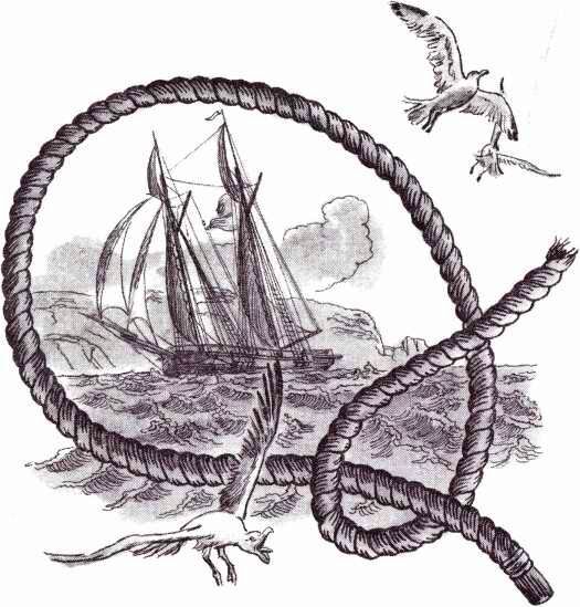 Водители фрегатов. О великих мореплавателях XVIII — начала XIX века - i_045.jpg