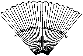 365 развлечений для ребенка - image160.png