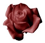 Дышать тобой (ЛП) - img_3