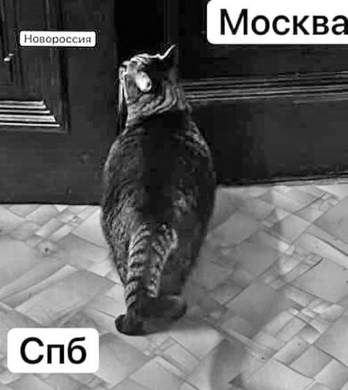 Топи и выси моего сердца. Дневник - i_111.jpg