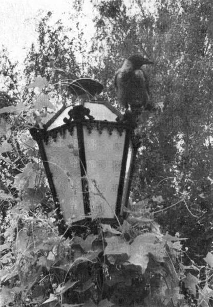 Заходер и все-все-все… - i_031.jpg