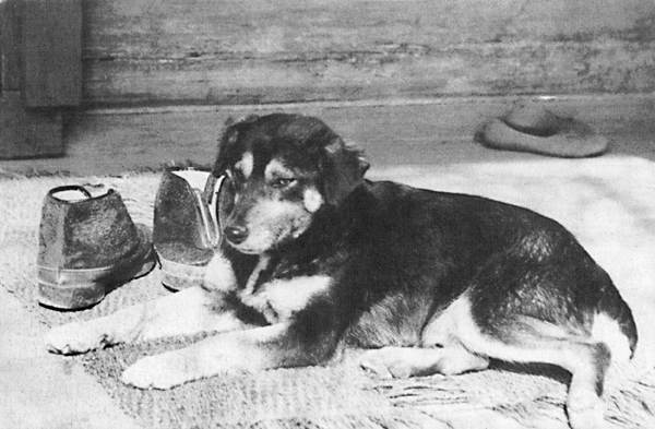 Заходер и все-все-все… - i_033.jpg