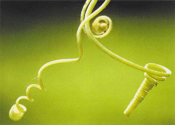 Заходер и все-все-все… - i_057.jpg