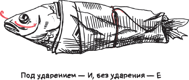 Дерзкий репетитор по русскому языку. Для тех, кто хочет говорить и писать правильно - i_114.png