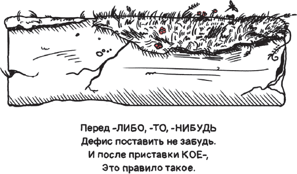Дерзкий репетитор по русскому языку. Для тех, кто хочет говорить и писать правильно - i_119.png