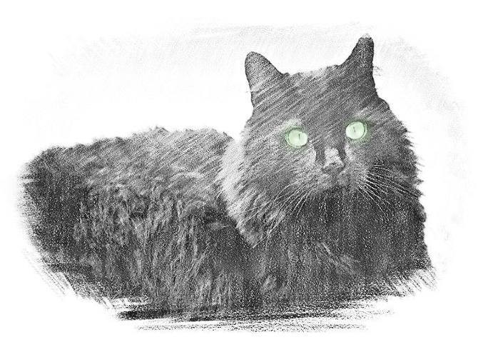 Книга предсказателя (СИ) - i_001.jpg