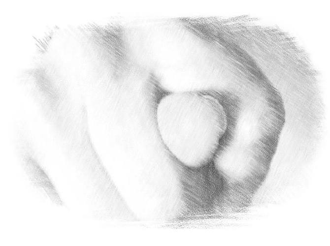 Книга предсказателя (СИ) - i_007.jpg