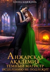 Анжарская академия. Темный магистр исцелению не подлежит - автор Княжина Елена 