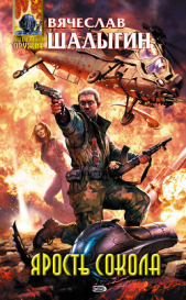 Ярость Сокола - автор Шалыгин Вячеслав Владимирович 