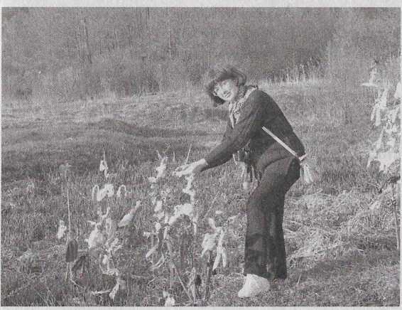 Как было на самом деле. Три битвы - img_9