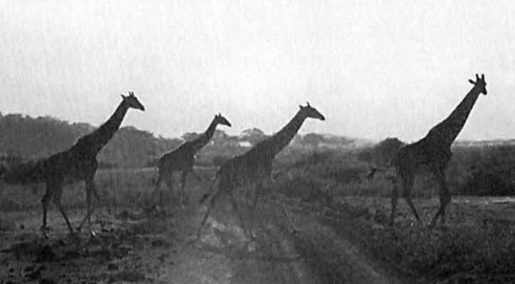 Михаил Задорнов - i_088.jpg