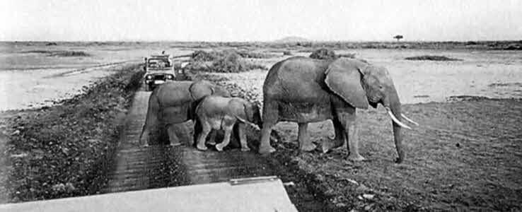 Михаил Задорнов - i_089.jpg