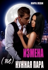 Измена. (Не)нужная пара (СИ) - автор Леви Кира 