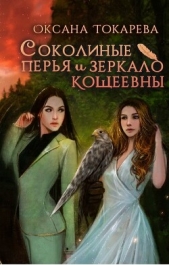 Соколиные перья и зеркало Кощеевны (СИ) - автор Токарева Оксана 