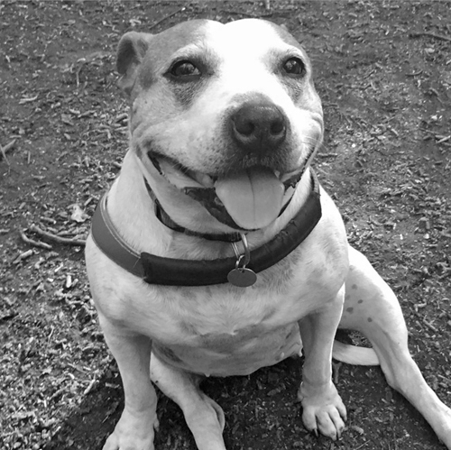 Спаси меня - i_002.jpg