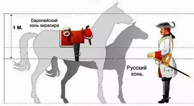 Прутский поход (СИ) - i_043.jpg