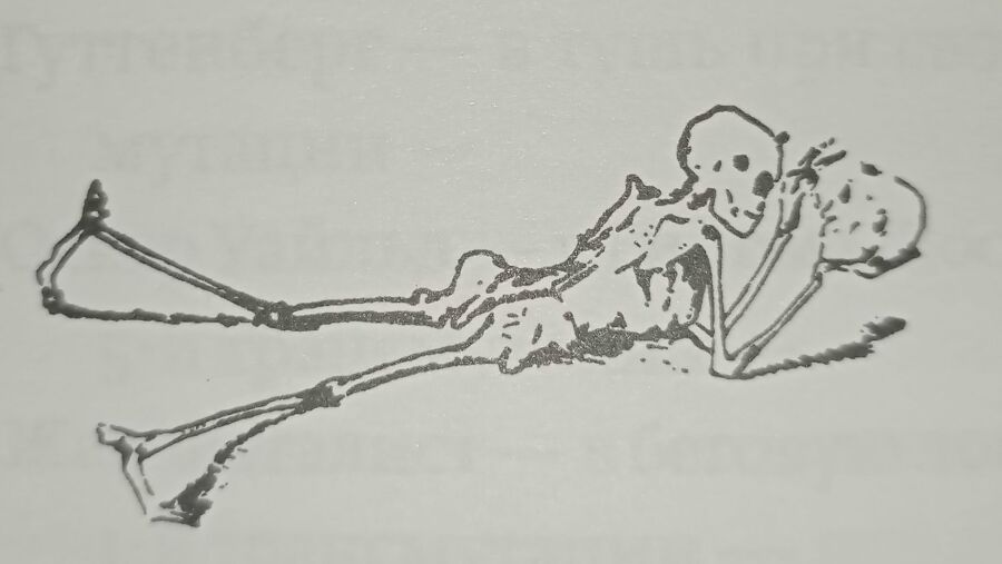 Шкелеты - img_1