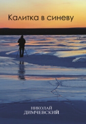  Димчевский Николай Владимирович - Калитка в синеву