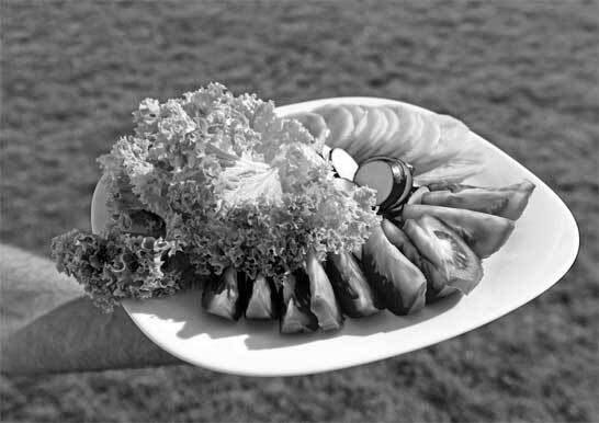 Взламывая организм человека - i_009.jpg