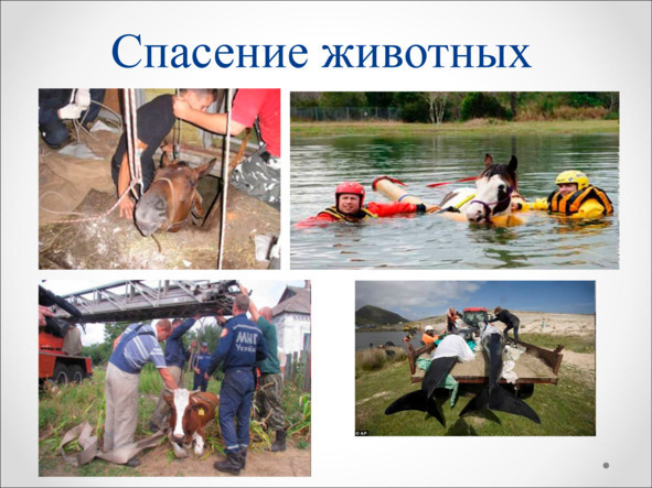 Игры, в которые играют дети - img_50