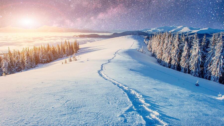 Легенды Лиса (сборник) (СИ) - img_9