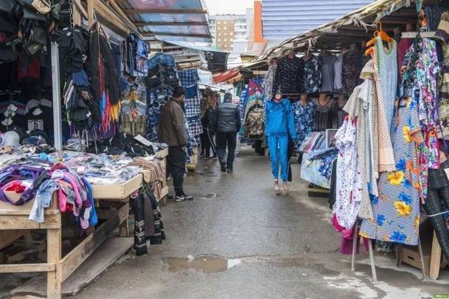 Мое пространственное королевство. Том 5 (СИ) - img_9