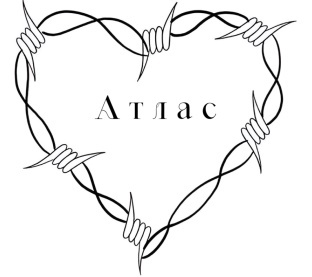 Принуждение (ЛП) - img_11