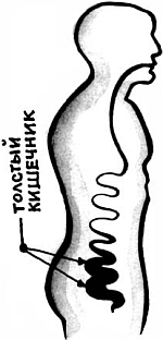 Питание и долголетие - _01.png