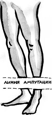 Питание и долголетие - _03.png