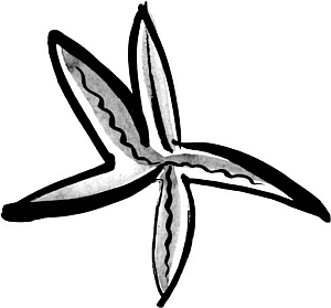 Питание и долголетие - _09.png