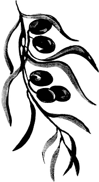 Питание и долголетие - _10.png