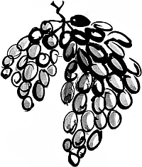 Питание и долголетие - _11.png