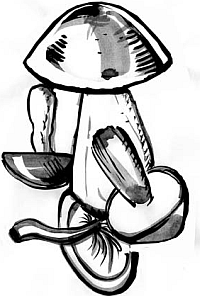 Питание и долголетие - _18.png