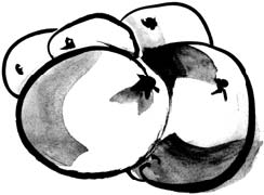 Питание и долголетие - _61.png