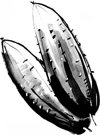 Питание и долголетие - _84.png