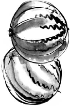 Питание и долголетие - _112.png