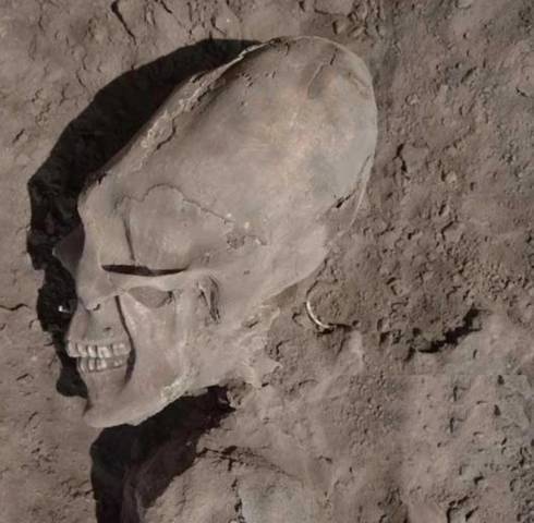 Ученик лоцмана (СИ) - img_28