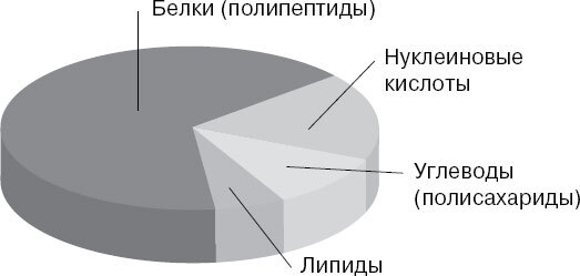 Анатомия для ищущих свой пупок - _10.jpg